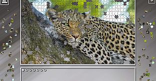 Super Jigsaw Puzzle: Generations - Big Cats 2