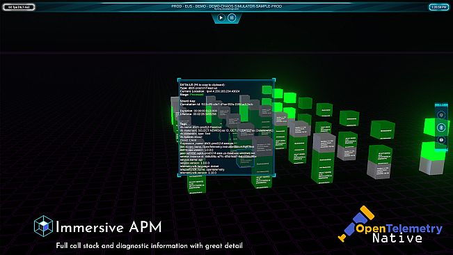 Immersive APM