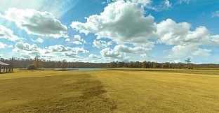 RealFlight Evolution - Triple Tree 3D Flight Line