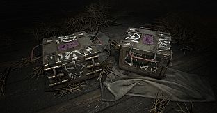 Hunt: Showdown 1896 - Northern Justice