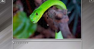 Super Jigsaw Puzzle: Generations - Snakes Puzzles