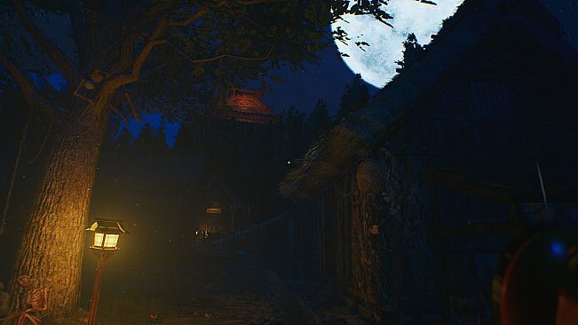 The Sinking Forest - 沈んだ森 -