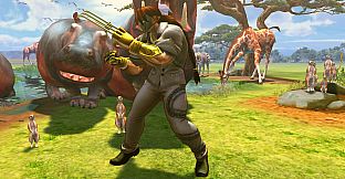 USFIV: Shadaloo Vacation Pack