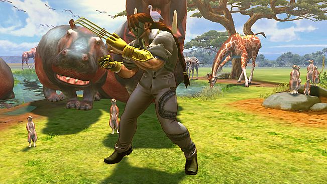 USFIV: Shadaloo Vacation Pack