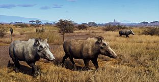 Way of the Hunter - Tikamoon Plains