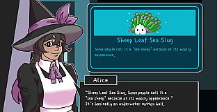 Ace Witch