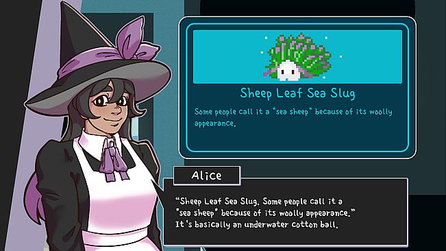 Ace Witch
