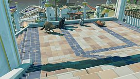 Roxy Raccoon 3: Troubles in Time