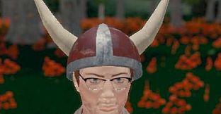 Hide and Seek - Viking Hat