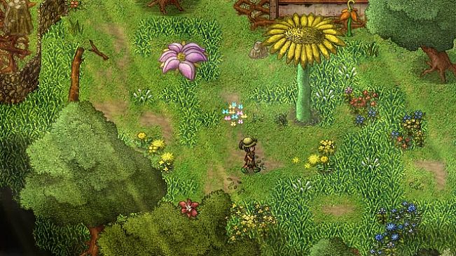 Unraveled: Tale of the Shipbreaker's Daughter