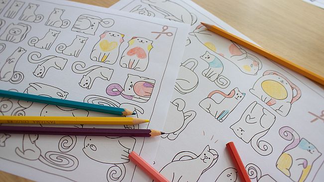 Cats Organized Neatly - Paper Edition