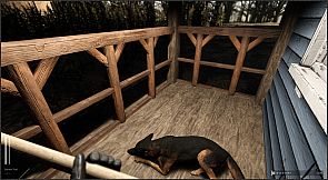 Descending The Woods