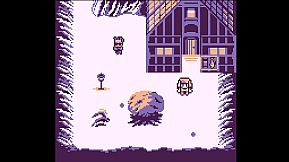 Experiment Anglerfish: White Hook River