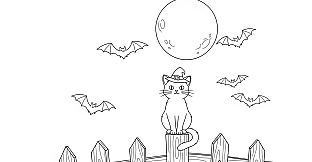 100 Cats Lost in Halloween Havoc