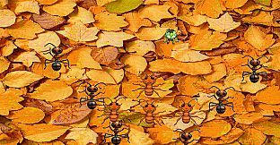 Rank the zombie triple pack