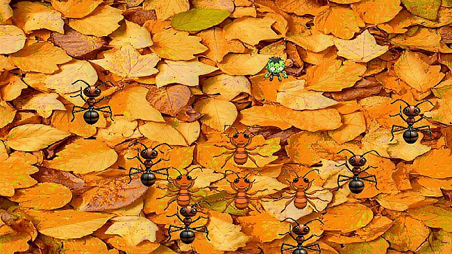 Rank the zombie triple pack