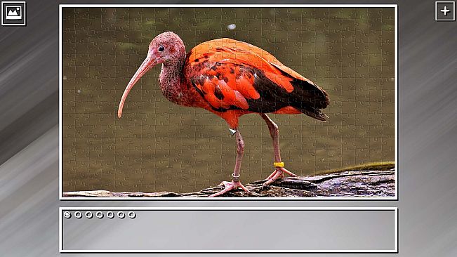 Super Jigsaw Puzzle: Generations - Random Animals Puzzles