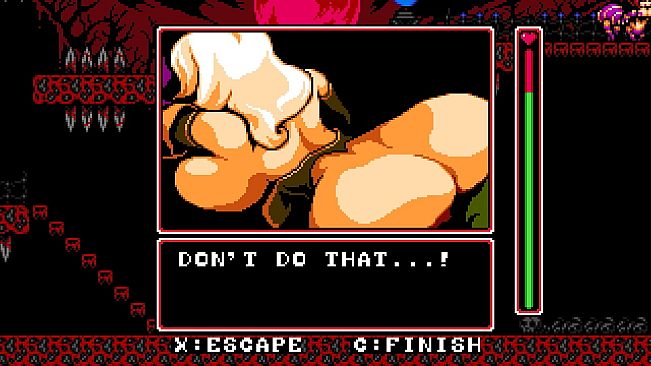 Castle in The Clouds DX