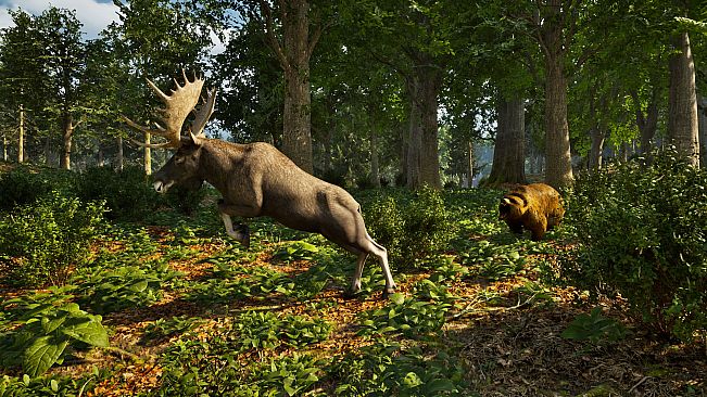 Park Ranger Simulator