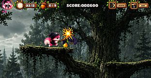 Mission Nuts