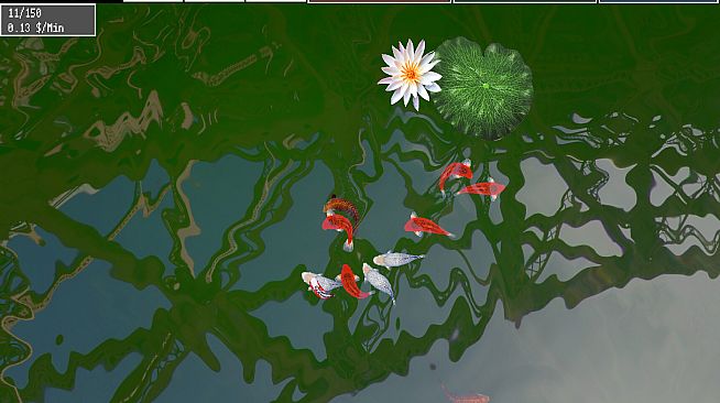 Tranquil Koi 鯉の池