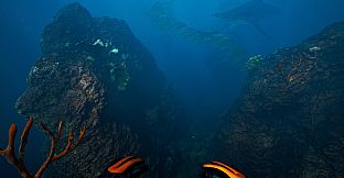 Subside - Makoa Shelf