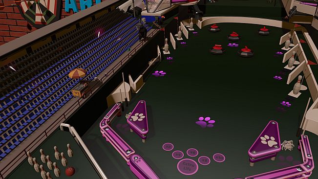 Roxy Raccoon's Pinball Panic - Sports Spectacle