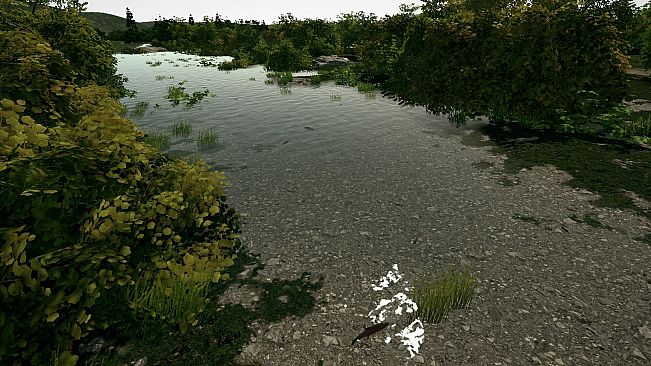Ultimate Fishing Simulator - Taupo Lake DLC