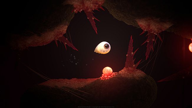 Evolution From the little light