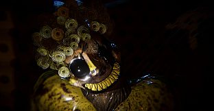 Clown Is Hungry Soundtrack