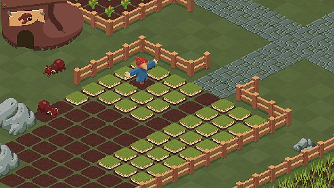 Mini Meadows