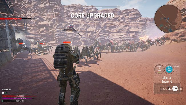 Desert Echo