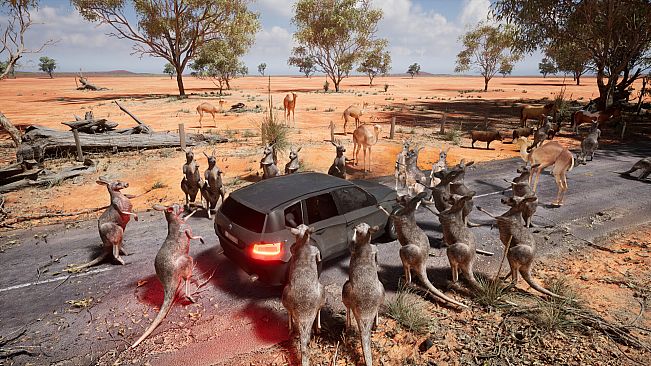 Australian Hunter
