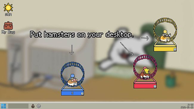 Hamster Time