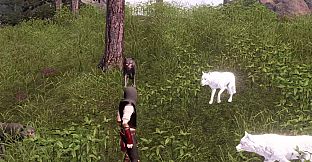 The Last Elf