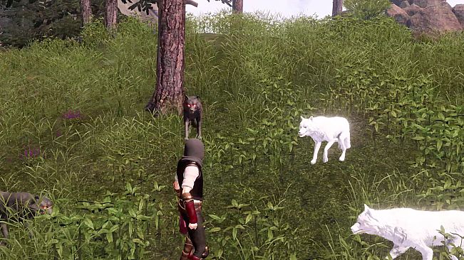 The Last Elf