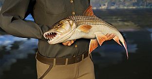 Call of the Wild: The Angler - South Africa Reserve