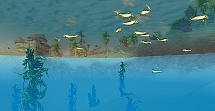 Wildlife Park 3 - Creatures of the Caribbean