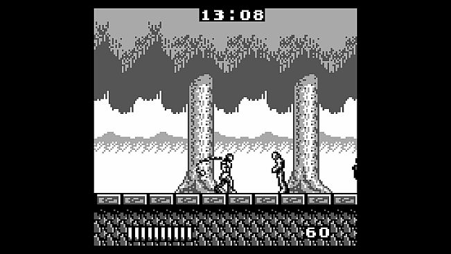 Castlevania Anniversary Collection