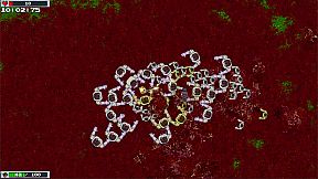 DOKA 2 GUTS OUT NINJA