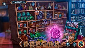 City Legends: Trapped In Mirror Collector's Edition