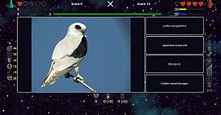 I've Seen Everything - Birds