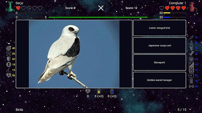 I've Seen Everything - Birds