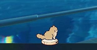 Your Cat