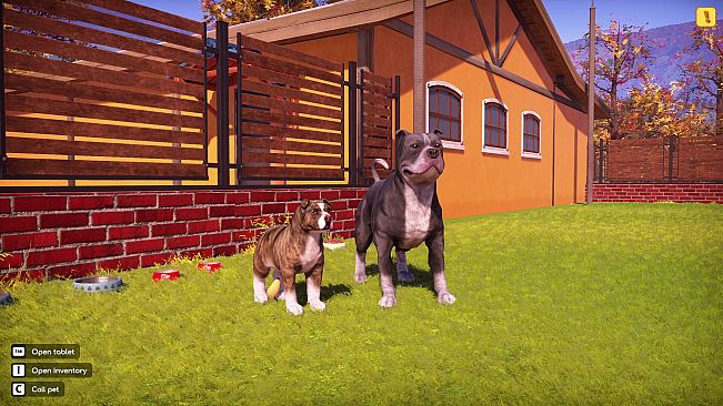 Animal Shelter 2 - Bull-Type Terriers Dogs Pack