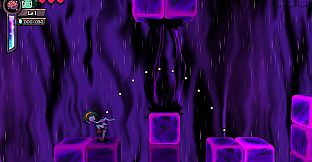 Shantae: Friends to the End