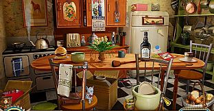 The Search for Amelia Earhart