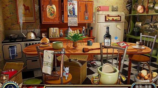 The Search for Amelia Earhart