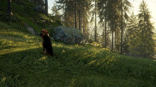 theHunter: Call of the Wild - Bloodhound