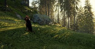 theHunter: Call of the Wild - Bloodhound - Windows 10